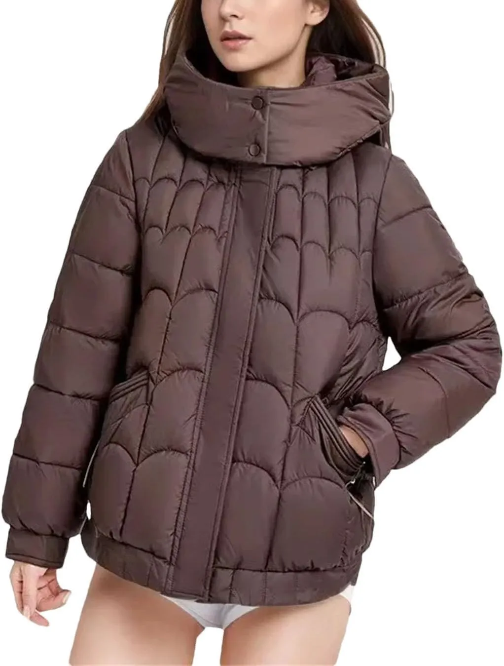Women's Solid Color Parkas Hooded Stand Collar Warm Down Cotton Jacket Female Winter Short Puffer Zipper Coats